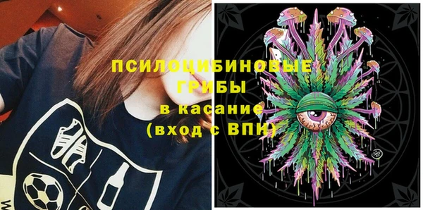 mix Богородск
