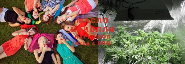 mix Богородск