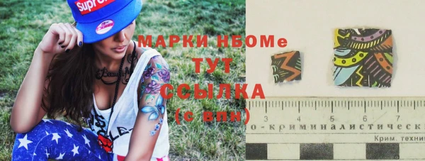 хмурый Богородицк