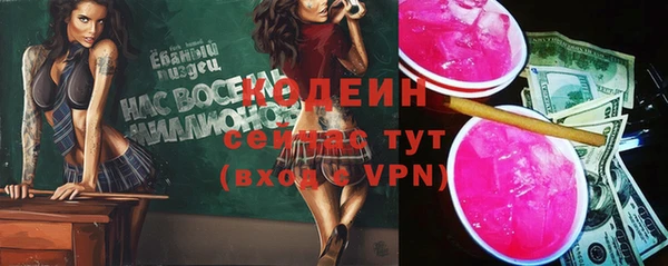 хмурый Богородицк